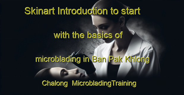 Skinart Introduction to start with the basics of microblading in Ban Pak Khlong Chalong | MicrobladingTraining | MicrobladingClasses | SkinartTraining-Thailand