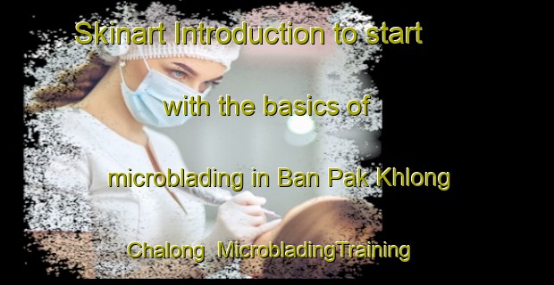 Skinart Introduction to start with the basics of microblading in Ban Pak Khlong Chalong | MicrobladingTraining | MicrobladingClasses | SkinartTraining-Thailand