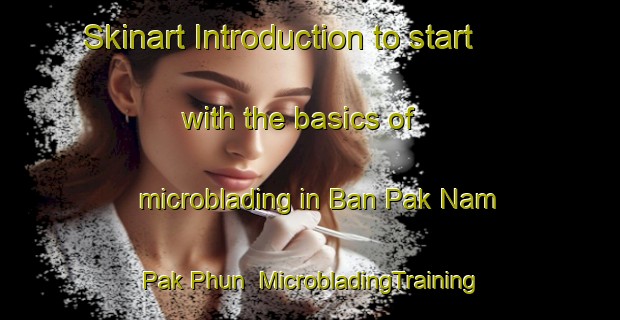 Skinart Introduction to start with the basics of microblading in Ban Pak Nam Pak Phun | MicrobladingTraining | MicrobladingClasses | SkinartTraining-Thailand