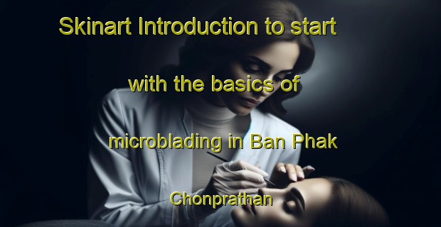 Skinart Introduction to start with the basics of microblading in Ban Phak Chonprathan | MicrobladingTraining | MicrobladingClasses | SkinartTraining-Thailand
