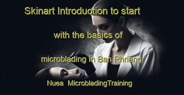 Skinart Introduction to start with the basics of microblading in Ban Phriang Nuea | MicrobladingTraining | MicrobladingClasses | SkinartTraining-Thailand