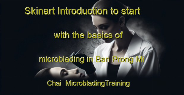 Skinart Introduction to start with the basics of microblading in Ban Prong Mi Chai | MicrobladingTraining | MicrobladingClasses | SkinartTraining-Thailand