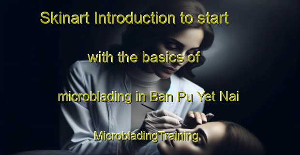 Skinart Introduction to start with the basics of microblading in Ban Pu Yet Nai | MicrobladingTraining | MicrobladingClasses | SkinartTraining-Thailand