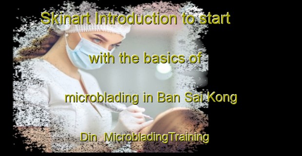 Skinart Introduction to start with the basics of microblading in Ban Sai Kong Din | MicrobladingTraining | MicrobladingClasses | SkinartTraining-Thailand