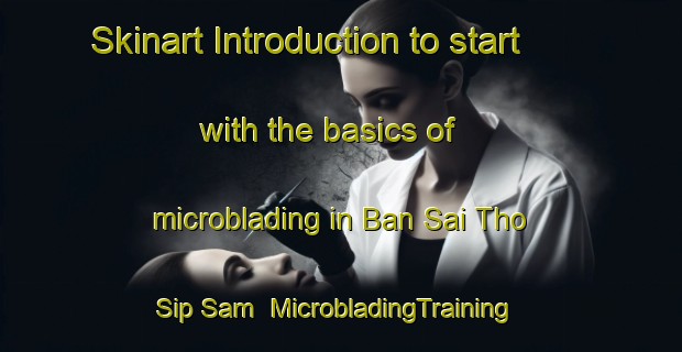 Skinart Introduction to start with the basics of microblading in Ban Sai Tho Sip Sam | MicrobladingTraining | MicrobladingClasses | SkinartTraining-Thailand