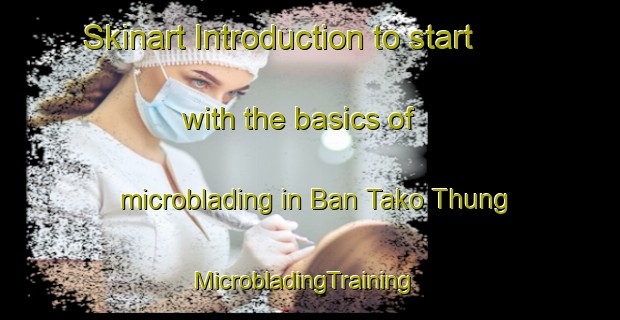 Skinart Introduction to start with the basics of microblading in Ban Tako Thung | MicrobladingTraining | MicrobladingClasses | SkinartTraining-Thailand