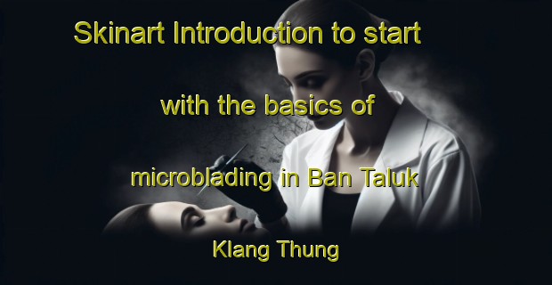 Skinart Introduction to start with the basics of microblading in Ban Taluk Klang Thung | MicrobladingTraining | MicrobladingClasses | SkinartTraining-Thailand