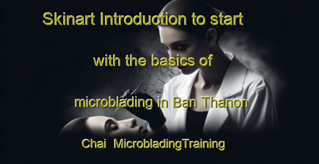 Skinart Introduction to start with the basics of microblading in Ban Thanon Chai | MicrobladingTraining | MicrobladingClasses | SkinartTraining-Thailand