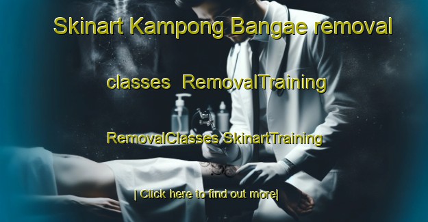 Skinart Kampong Bangae removal classes | #RemovalTraining #RemovalClasses #SkinartTraining-Thailand