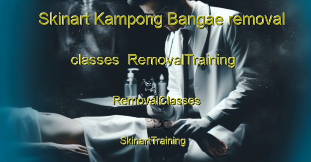 Skinart Kampong Bangae removal classes | RemovalTraining | RemovalClasses | SkinartTraining-Thailand