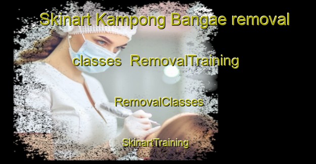 Skinart Kampong Bangae removal classes | RemovalTraining | RemovalClasses | SkinartTraining-Thailand