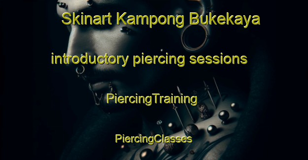 Skinart Kampong Bukekaya introductory piercing sessions | #PiercingTraining #PiercingClasses #SkinartTraining-Thailand