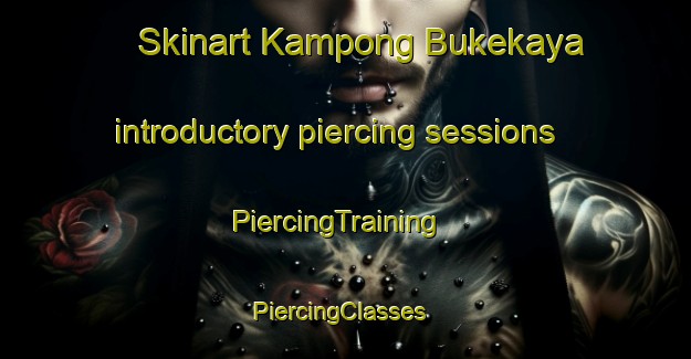 Skinart Kampong Bukekaya introductory piercing sessions | PiercingTraining | PiercingClasses | SkinartTraining-Thailand
