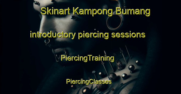 Skinart Kampong Bumang introductory piercing sessions | PiercingTraining | PiercingClasses | SkinartTraining-Thailand