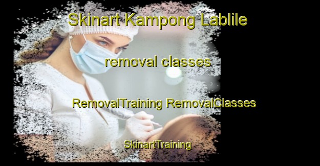 Skinart Kampong Lablile removal classes | #RemovalTraining #RemovalClasses #SkinartTraining-Thailand