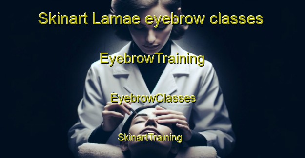 Skinart Lamae eyebrow classes | EyebrowTraining | EyebrowClasses | SkinartTraining-Thailand
