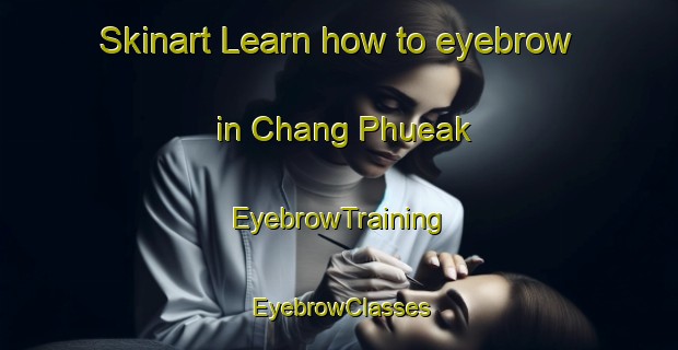 Skinart Learn how to eyebrow in Chang Phueak | EyebrowTraining | EyebrowClasses | SkinartTraining-Thailand
