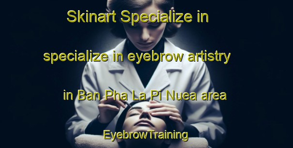 Skinart Specialize in specialize in eyebrow artistry in Ban Pha La Pi Nuea area | EyebrowTraining | EyebrowClasses | SkinartTraining-Thailand