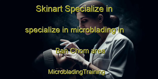 Skinart Specialize in specialize in microblading in Ban Chom area | MicrobladingTraining | MicrobladingClasses | SkinartTraining-Thailand