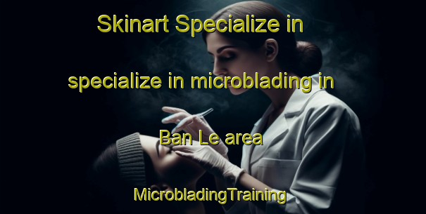 Skinart Specialize in specialize in microblading in Ban Le area | #MicrobladingTraining #MicrobladingClasses #SkinartTraining-Thailand