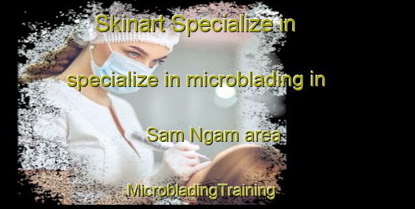 Skinart Specialize in specialize in microblading in Sam Ngam area | MicrobladingTraining | MicrobladingClasses | SkinartTraining-Thailand