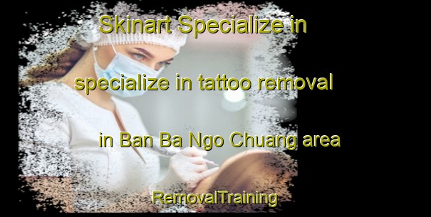 Skinart Specialize in specialize in tattoo removal in Ban Ba Ngo Chuang area | RemovalTraining | RemovalClasses | SkinartTraining-Thailand
