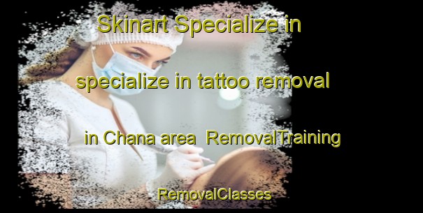 Skinart Specialize in specialize in tattoo removal in Chana area | RemovalTraining | RemovalClasses | SkinartTraining-Thailand