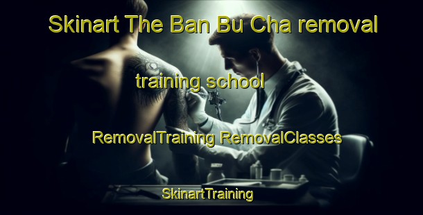 Skinart The Ban Bu Cha removal training school | #RemovalTraining #RemovalClasses #SkinartTraining-Thailand