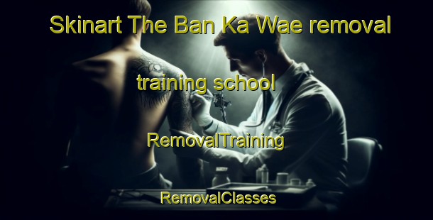 Skinart The Ban Ka Wae removal training school | RemovalTraining | RemovalClasses | SkinartTraining-Thailand