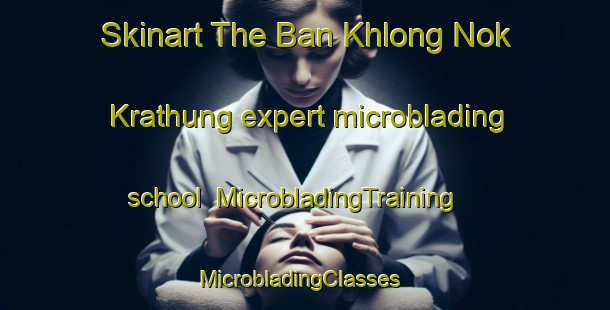 Skinart The Ban Khlong Nok Krathung expert microblading school | MicrobladingTraining | MicrobladingClasses | SkinartTraining-Thailand