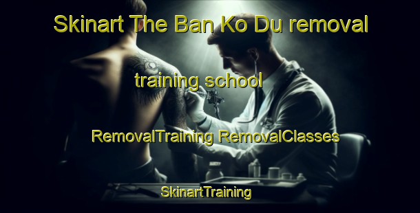 Skinart The Ban Ko Du removal training school | #RemovalTraining #RemovalClasses #SkinartTraining-Thailand