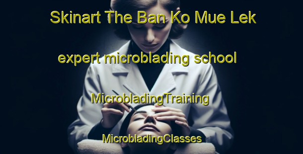 Skinart The Ban Ko Mue Lek expert microblading school | #MicrobladingTraining #MicrobladingClasses #SkinartTraining-Thailand