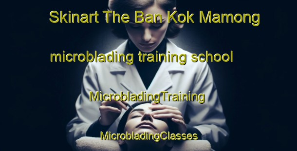 Skinart The Ban Kok Mamong microblading training school | #MicrobladingTraining #MicrobladingClasses #SkinartTraining-Thailand