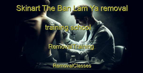 Skinart The Ban Lam Ya removal training school | RemovalTraining | RemovalClasses | SkinartTraining-Thailand
