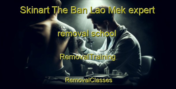 Skinart The Ban Lao Mek expert removal school | RemovalTraining | RemovalClasses | SkinartTraining-Thailand