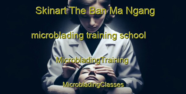 Skinart The Ban Ma Ngang microblading training school | #MicrobladingTraining #MicrobladingClasses #SkinartTraining-Thailand