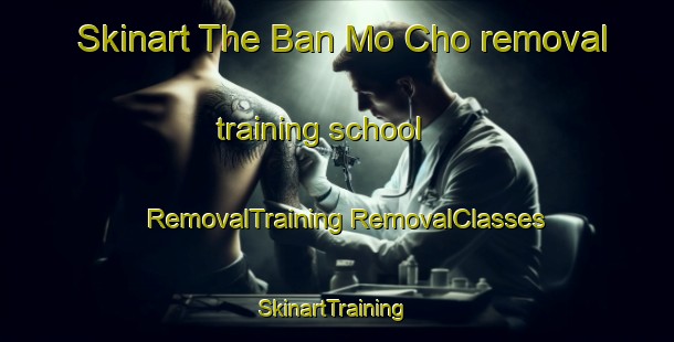 Skinart The Ban Mo Cho removal training school | #RemovalTraining #RemovalClasses #SkinartTraining-Thailand