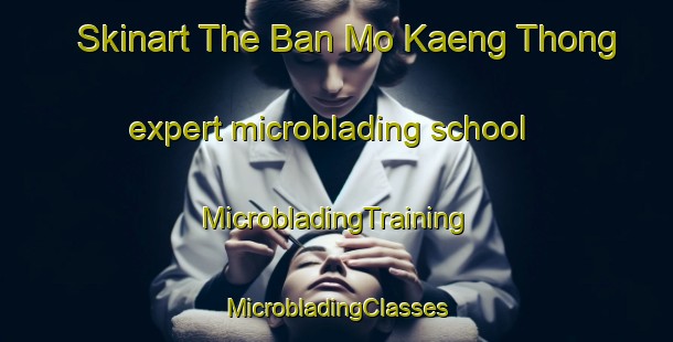 Skinart The Ban Mo Kaeng Thong expert microblading school | #MicrobladingTraining #MicrobladingClasses #SkinartTraining-Thailand