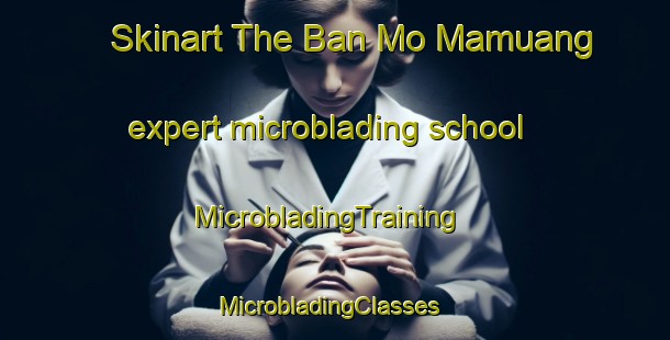 Skinart The Ban Mo Mamuang expert microblading school | MicrobladingTraining | MicrobladingClasses | SkinartTraining-Thailand