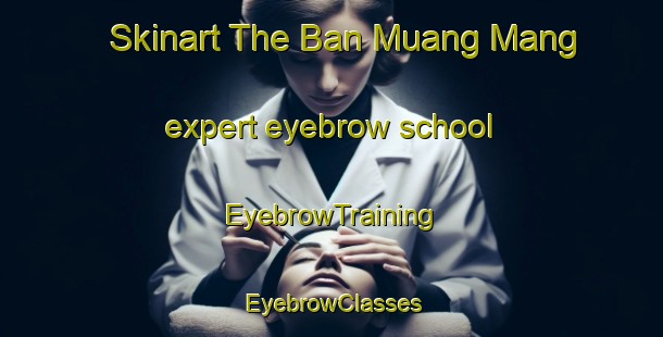 Skinart The Ban Muang Mang expert eyebrow school | EyebrowTraining | EyebrowClasses | SkinartTraining-Thailand