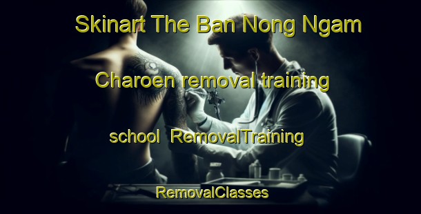 Skinart The Ban Nong Ngam Charoen removal training school | RemovalTraining | RemovalClasses | SkinartTraining-Thailand