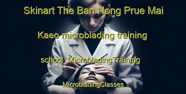 Skinart The Ban Nong Prue Mai Kaeo microblading training school | #MicrobladingTraining #MicrobladingClasses #SkinartTraining-Thailand