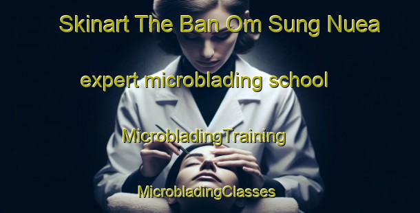 Skinart The Ban Om Sung Nuea expert microblading school | MicrobladingTraining | MicrobladingClasses | SkinartTraining-Thailand