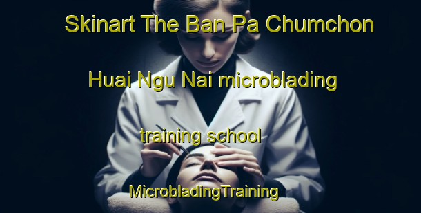 Skinart The Ban Pa Chumchon Huai Ngu Nai microblading training school | MicrobladingTraining | MicrobladingClasses | SkinartTraining-Thailand