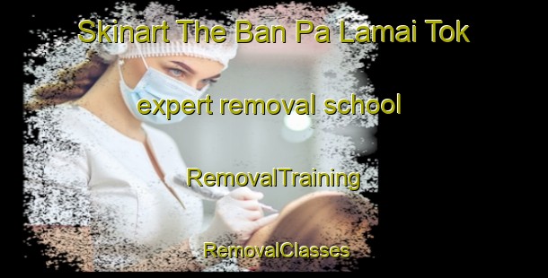 Skinart The Ban Pa Lamai Tok expert removal school | RemovalTraining | RemovalClasses | SkinartTraining-Thailand