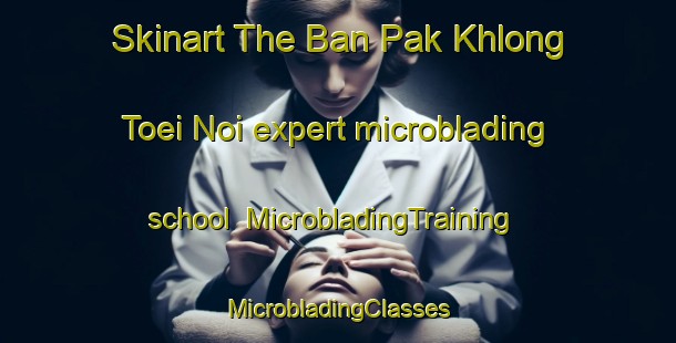 Skinart The Ban Pak Khlong Toei Noi expert microblading school | #MicrobladingTraining #MicrobladingClasses #SkinartTraining-Thailand