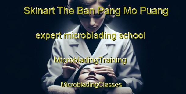Skinart The Ban Pang Mo Puang expert microblading school | MicrobladingTraining | MicrobladingClasses | SkinartTraining-Thailand