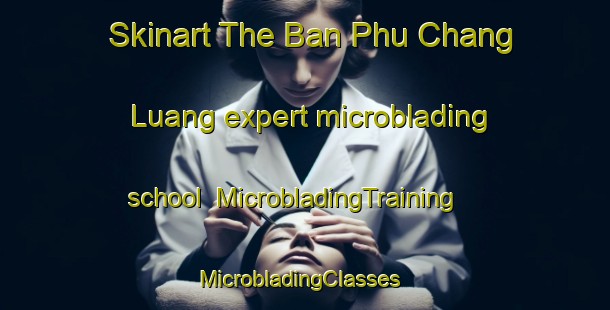 Skinart The Ban Phu Chang Luang expert microblading school | MicrobladingTraining | MicrobladingClasses | SkinartTraining-Thailand