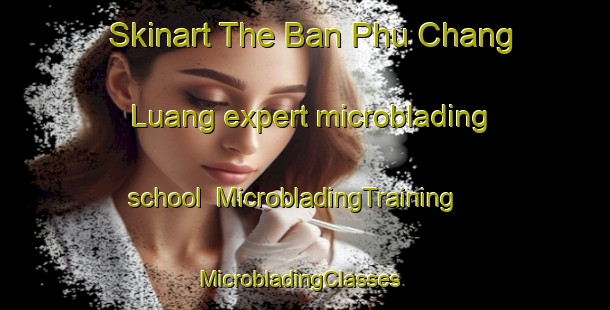 Skinart The Ban Phu Chang Luang expert microblading school | MicrobladingTraining | MicrobladingClasses | SkinartTraining-Thailand
