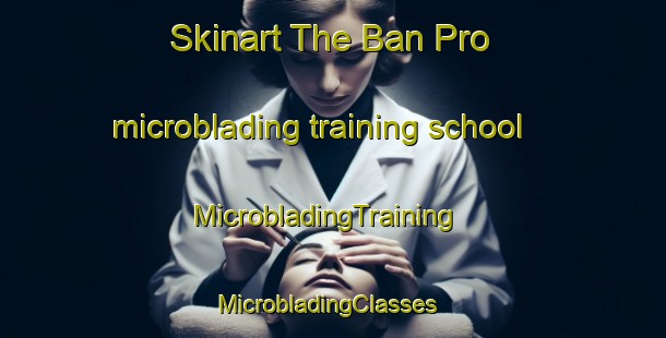 Skinart The Ban Pro microblading training school | MicrobladingTraining | MicrobladingClasses | SkinartTraining-Thailand
